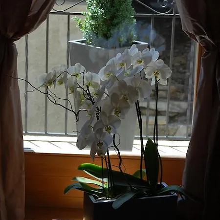 Pensión Aux Bons Matins De Capella Chermignon-d'en Haut